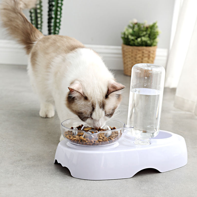 Enhance Your Pet's Dining Experience with Our Transparent Plastic Feeding and Drinking Bowl