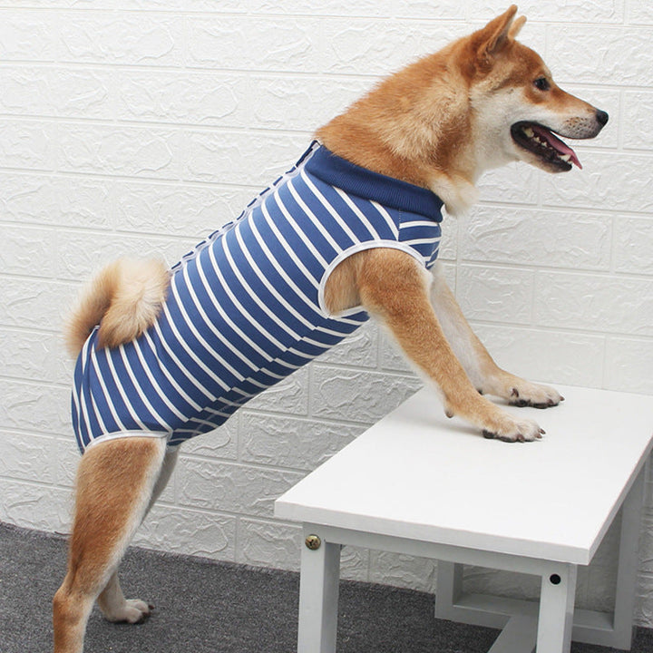 Fashion Personality Multi-color Pet Clothes: Style Meets Comfort