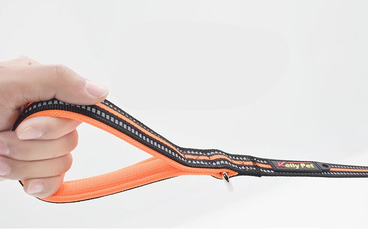 Discover the Ultimate Pet Nylon Retractable Assisted Walking Leash