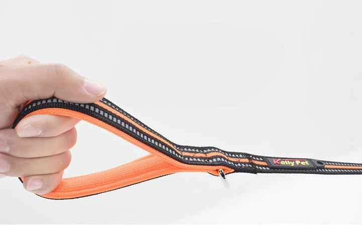 Discover the Ultimate Pet Nylon Retractable Assisted Walking Leash