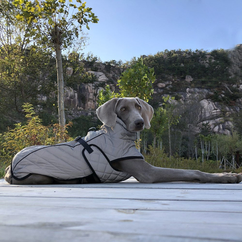 Why Your Pet Deserves the Full Body Reflective Tactical Pet Jacket