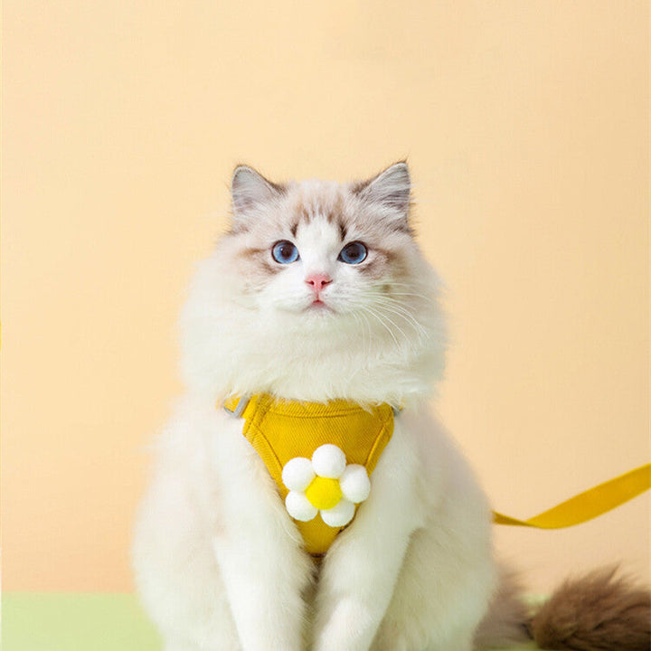 Why Your Pet Needs the Anti Breakaway Undershirt Style Chest Harness Leash