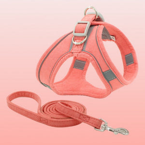 Walk with Style and Comfort: The Pet Vest Style Chest Harness Leash