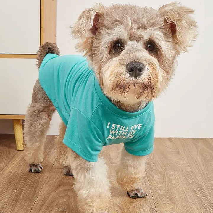 Why Your Pet Deserves a Stylish Round Neck T-Shirt