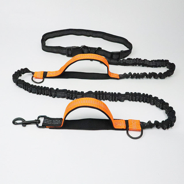 Experience Freedom and Comfort with Our Adjustable Pet Harness Collar Jogging Leash