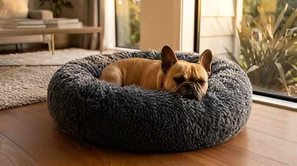 Choosing The Right Pet Bed