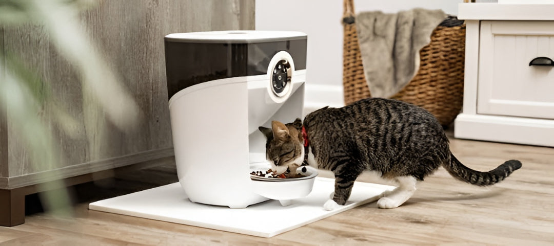 Essential Pet Feeding Tips Daily